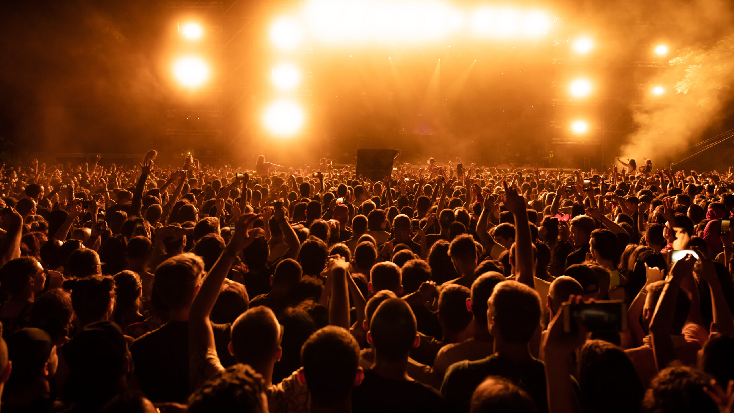 Rear view of audience on music festival at night. Back view of crowd of fans watching live performance on music concert at night. Copy space.
